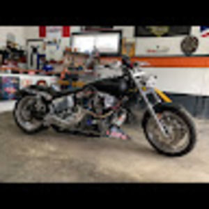 Meet your Posher, Pro street dino